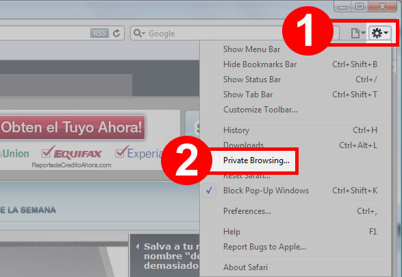 PrivateBrowsing-Safari4 PrivateBrowsing-Safari4