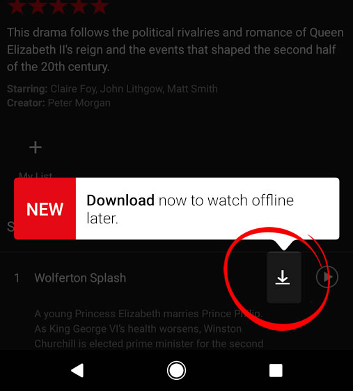 El ícono de la flecha apuntando hacia abajo encima de una línea horizontal es lo que confirma que ese contenido lo puedes descargar (foto: Netflix)